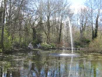Fountain
