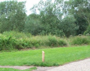 A post at Coate Water