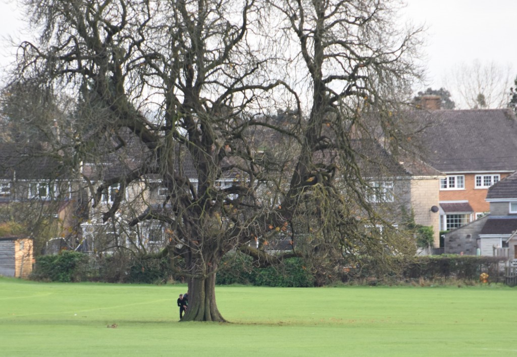 Orienteers attacking a control behind a tree